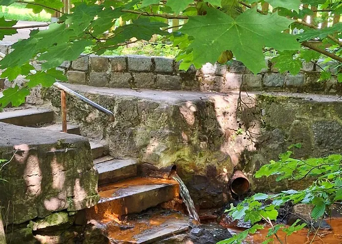 Patriot 3* Mariánské Lázně